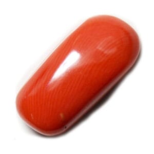 Red Coral - A