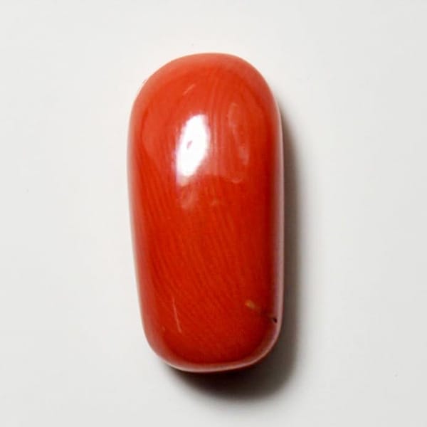 GD – 10. Red Coral